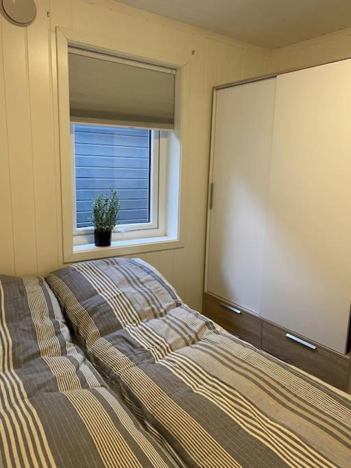 Helt Ny Rorbu Pa Slyngstad I Alesund Kommune Buitenkant foto